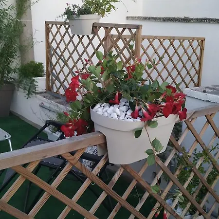 La Gina & La Palmira