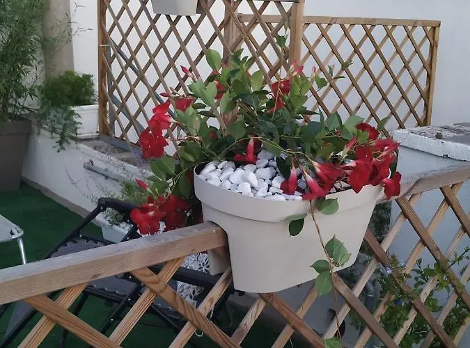 La Gina & La Palmira